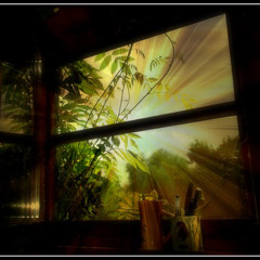 Hazy Memories.