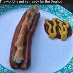 Stoprhombus - Untitled Aug 11, 2024, 416PM 2024-08-11 16_38.m4a