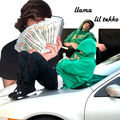 Llama ft xamen