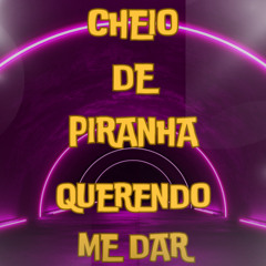 CHEIO DE PIRANHA QUERENDO ME DAR -  DJ XANDE CDD E DJ 2K DO CATARINA