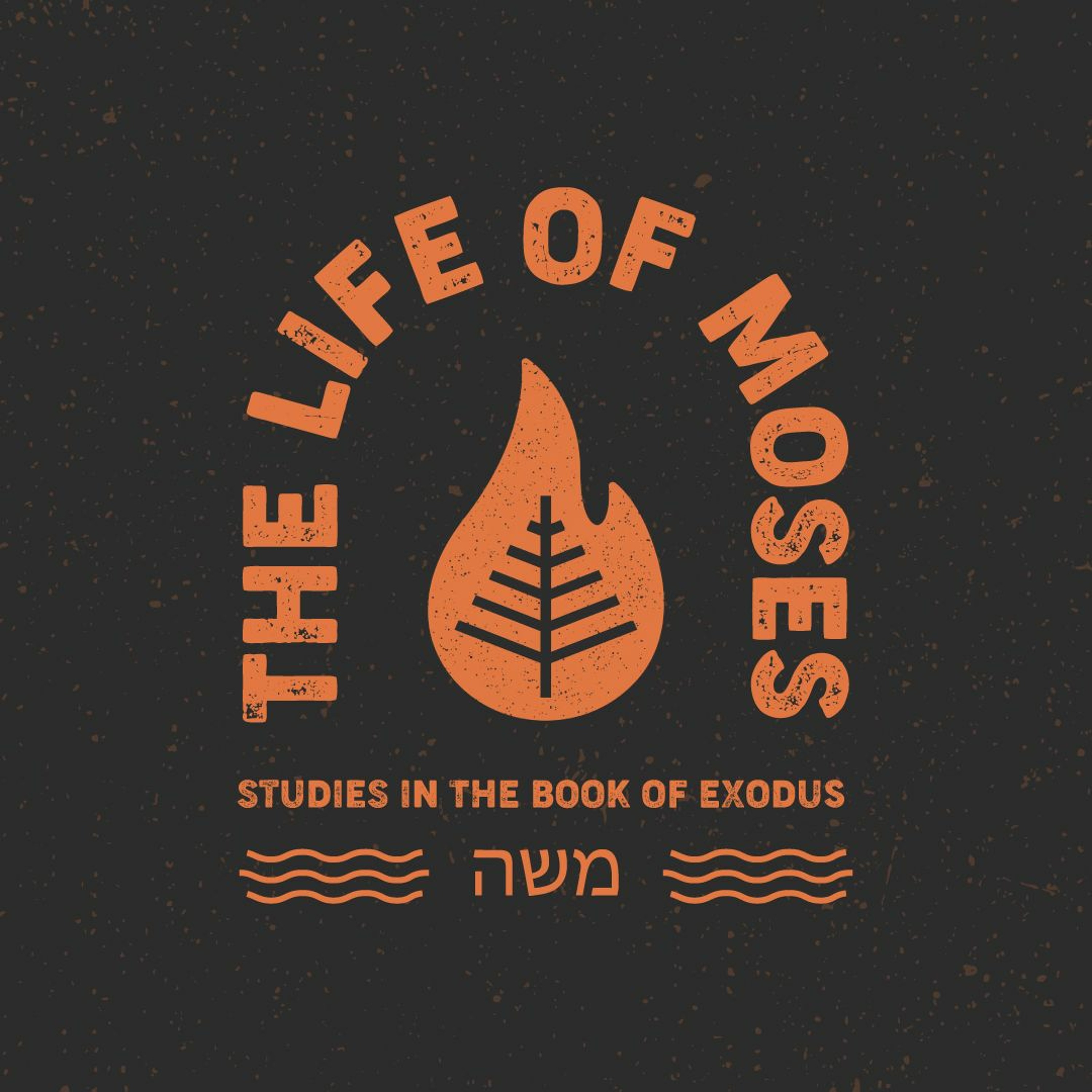 The Life of Moses: The Ten Plagues | Stacey Croft | May 30, 2021 episode artwork