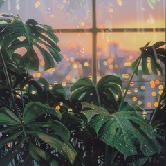 Concrete Jungle Lullaby