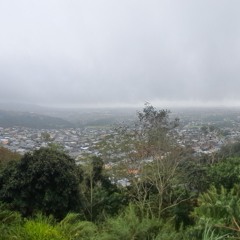 Wade robert sivyer - energy efficiency  2024-09-17 12_55.m4a