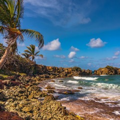 It's a Beautiful Day