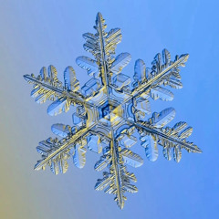 freeze - 12:20:25, 7.38 AM (prod. BOVH)