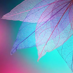 Resting In The Heart: Focused Attention Meditation