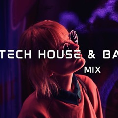 Tech House & Bass House Mix Feb 2024