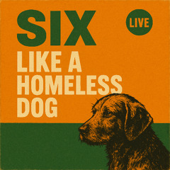 Like a homeless dog (Live)