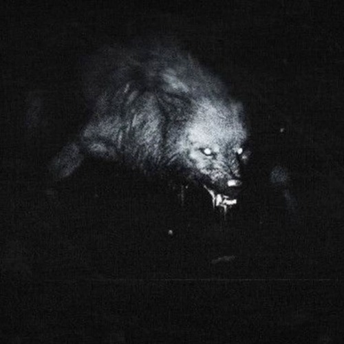 BLACK REX - CURSED (slowed € reverb)