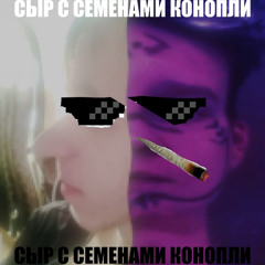 ProNiggerSlutKiller, DeadlyЭтаСукаНаМнеТыЗнаешь2025-сыр с семенами конопли