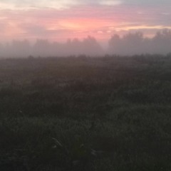 Забуду имя любимое моё тик ток remix (Shamuz.net)