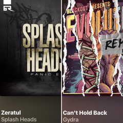 DD - Zeratul / Can’t Hold Back Remix