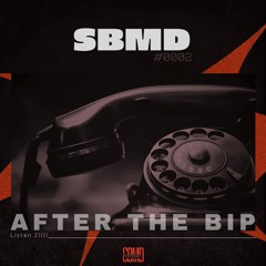 After The Bip - Listen Zilli (Radio Edit)