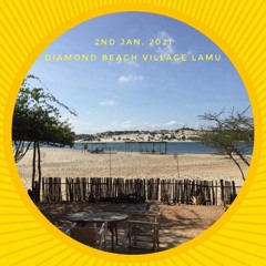 Diamond Beach New Year 2021 MIX