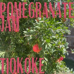 H11 POMEGRANATE JAM