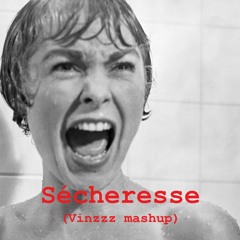 DJ Xam vs Martine - Sécheresse (Vinzzz extended mashup) FREE DL