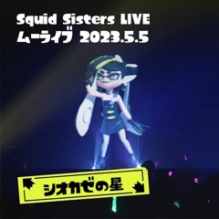 ♪ Splatoon Squid Sisters LIVE 2023  Wave Goodbye | Moola Mixtape