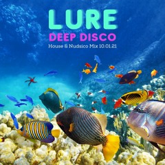 Deep Disco (House & Nudisco Mix 10.01.21)
