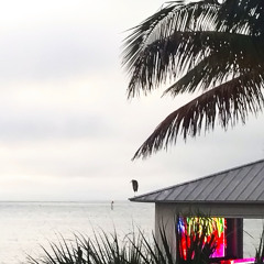 Para(sitic)social (Prod. by SPHYNX)