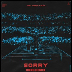 Alan Walker Feat. ISÁK - Sorry (Ruks Remix)