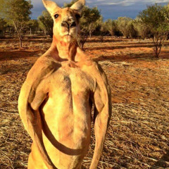 Kangaroo - PROD. J $upreme 🦘