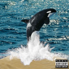 KiloWhale (prod. DreadHeadRedd)