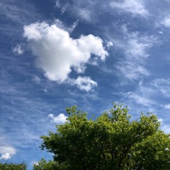 I Come to His Presence Afresh