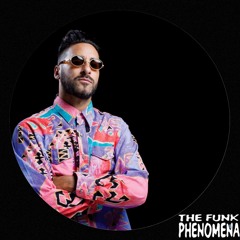 Armand Van Helden - The Funk Phenomena (Harry Fitsch REWORK) // FREE DL