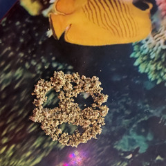 健康