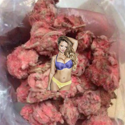 tila tequila x nicxletina - knock you out (sexxxed up remix) mashup