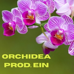 Orchidea - Prod. EIN (2023)