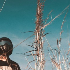 Somebody Feat. VoxyBox