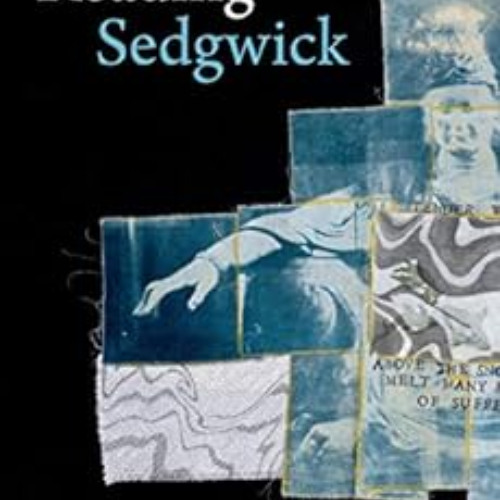 DOWNLOAD EBOOK 💏 Reading Sedgwick (Theory Q) by Lauren Berlant EBOOK EPUB KINDLE PDF
