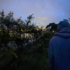 🪲
