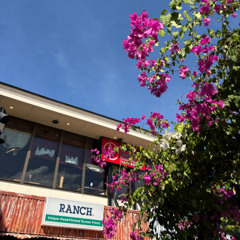 막나가는 Mixset Vol.2 | 내적 댄스 House Digging