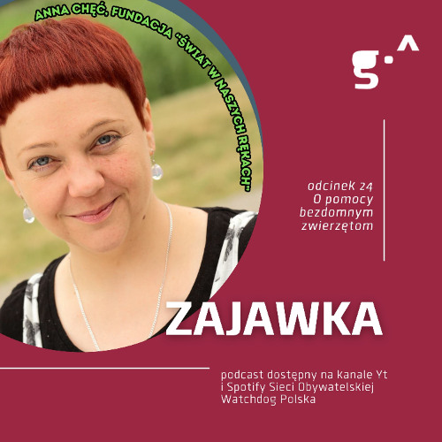 Zajawka. Podcast Watchdoga. Odc. 24 O pomocy bezdomnym zwierzętom
