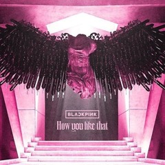 Black pink - How you like that (cover by lion)