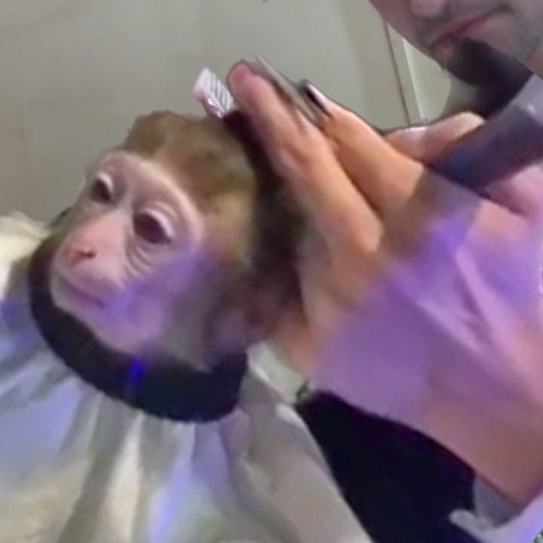 murder she wrote evilversion