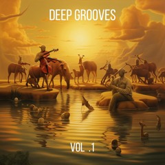 Deep Grooves // VOL. 1
