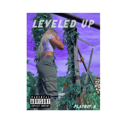 LEVELED UP ~ Playboy G