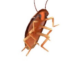 Roach Ft Dabooba Leveque
