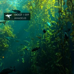 Exocet 009 ))) Amadeus  ~  𝐾𝑒𝑙𝑝 𝑓𝑜𝑟𝑒𝑠𝑡𝑠