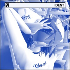 FLUX AETERNA 009: IDENT