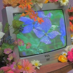 Everyday (Prod. Lincoln + Chxry)