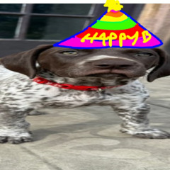 HAPPY BIRTHDAY LOUIE (jerk remix)