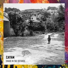 PREMIERE: CAYAM — Chaos In The Distance (Original Mix) [We Are The Brave]