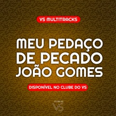 Meu Pedaco De Pecado - Joao Gomes - Playback e VS Sertanejo e Forro