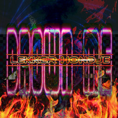 Lekker Hondje - Drown Me //neurofunk, crossbreed