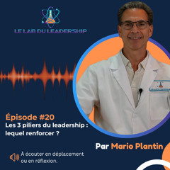 Épisode #20 - Les 3 piliers du leadership : lequel renforcer ?