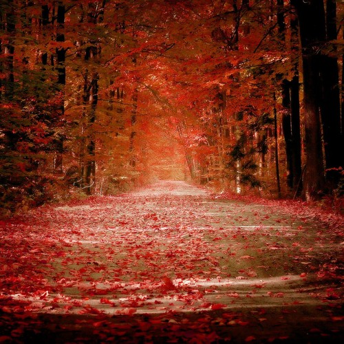Fresh Produce 131 - Pathways